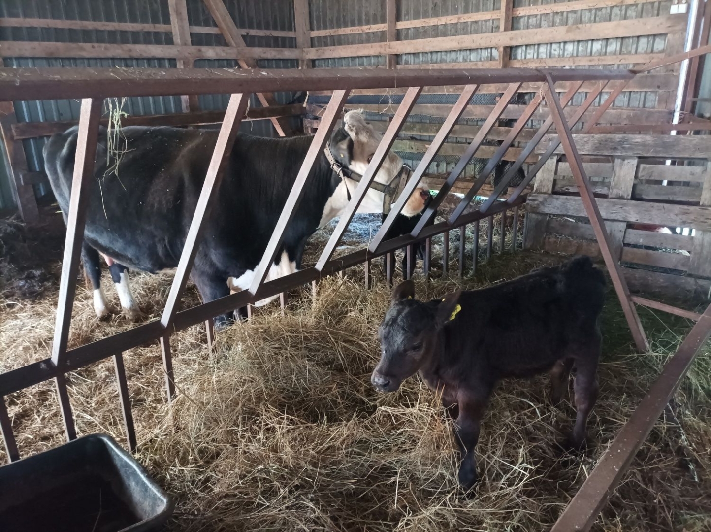 Tehnikuma pedagogi piedalās pieredzes apmaiņas braucienā